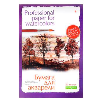 Купить Папка для акварели Профессиональная серия (A4, 20 листов, 230г/м2), 2 вида. в Москве