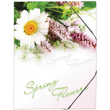 Купить Папка на резинке Spring Flowers  А4, 550мкм, 1 отделение, Berlingo в Москве
