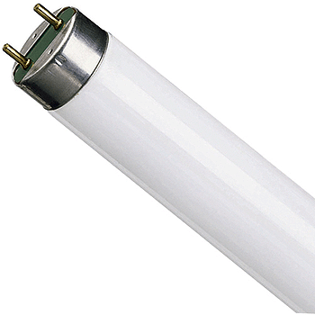 Купить Лампа Люминесцентная FH (НЕ) 35/840 G5 d=16 mm.,холодная белая в Москве